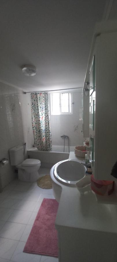 Εξοχικό Roxani Villa Ambelakia Dış mekan fotoğraf