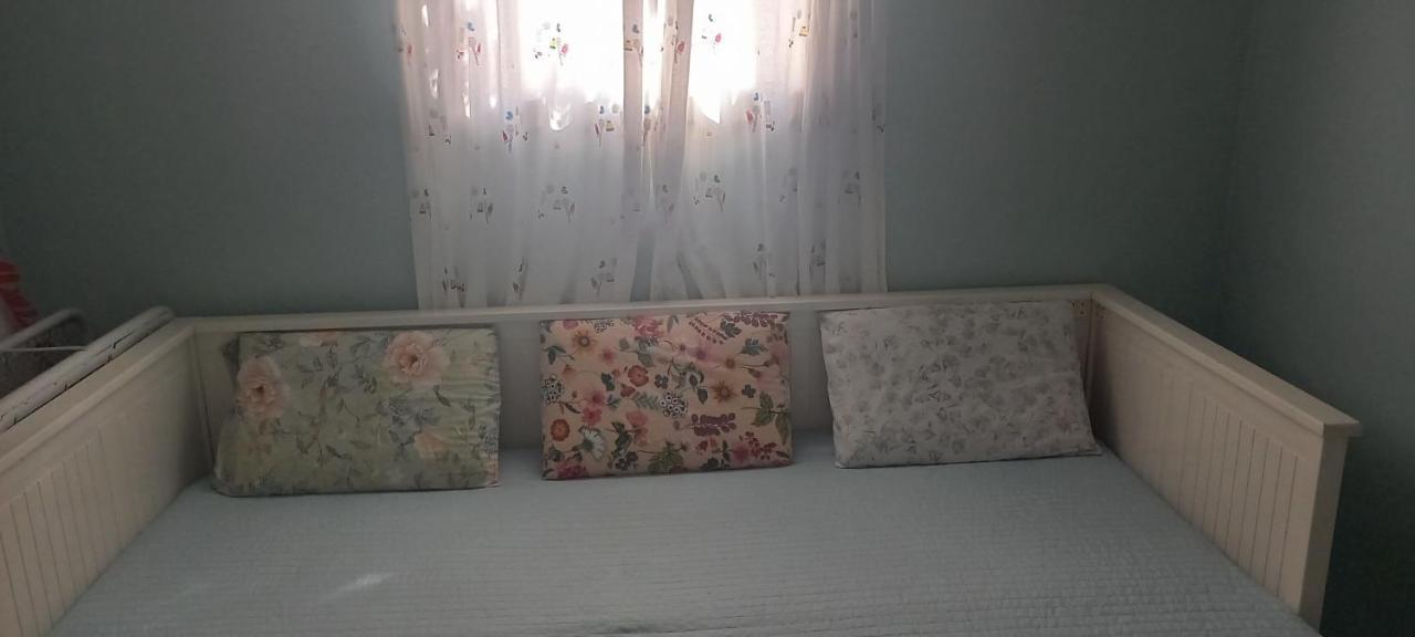 Εξοχικό Roxani Villa Ambelakia Dış mekan fotoğraf