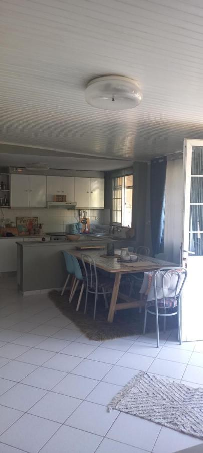 Εξοχικό Roxani Villa Ambelakia Dış mekan fotoğraf
