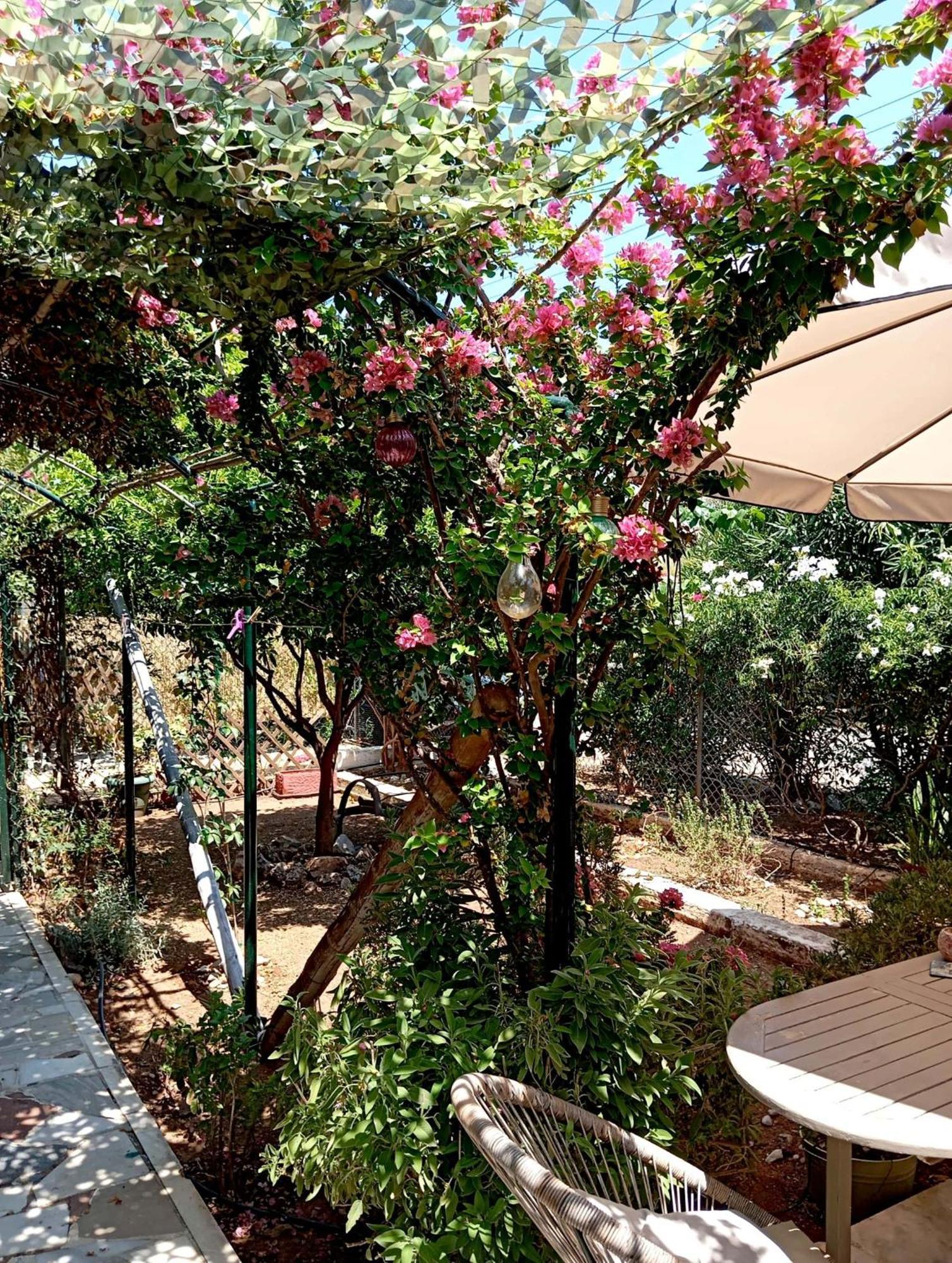 Εξοχικό Roxani Villa Ambelakia Dış mekan fotoğraf