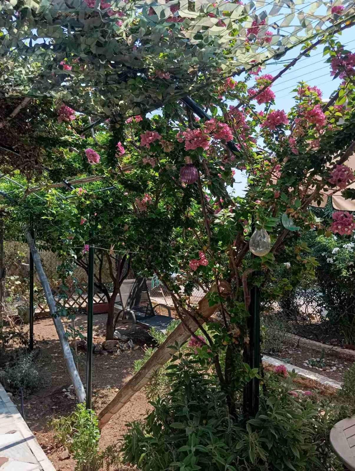 Εξοχικό Roxani Villa Ambelakia Dış mekan fotoğraf