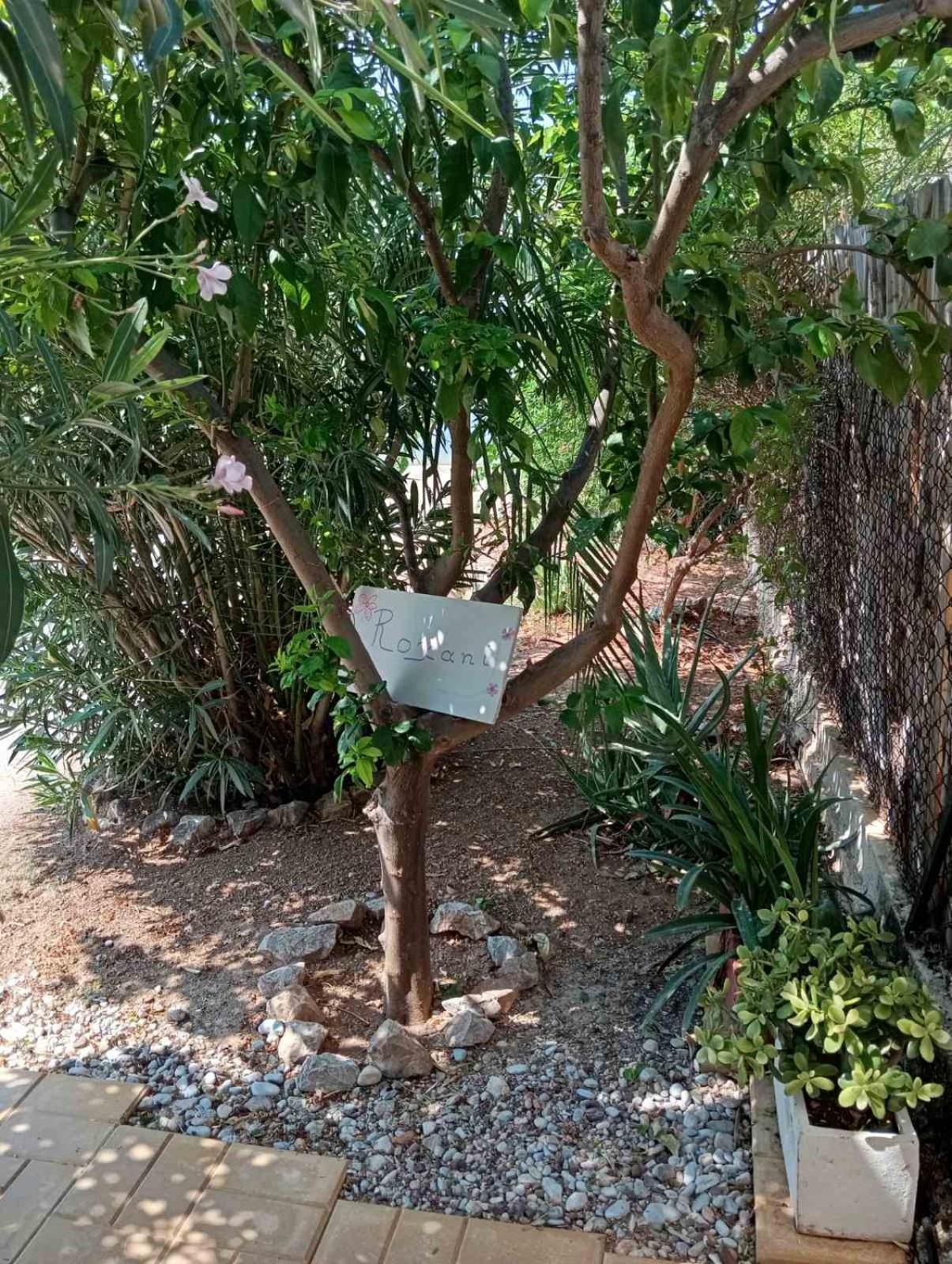 Εξοχικό Roxani Villa Ambelakia Dış mekan fotoğraf