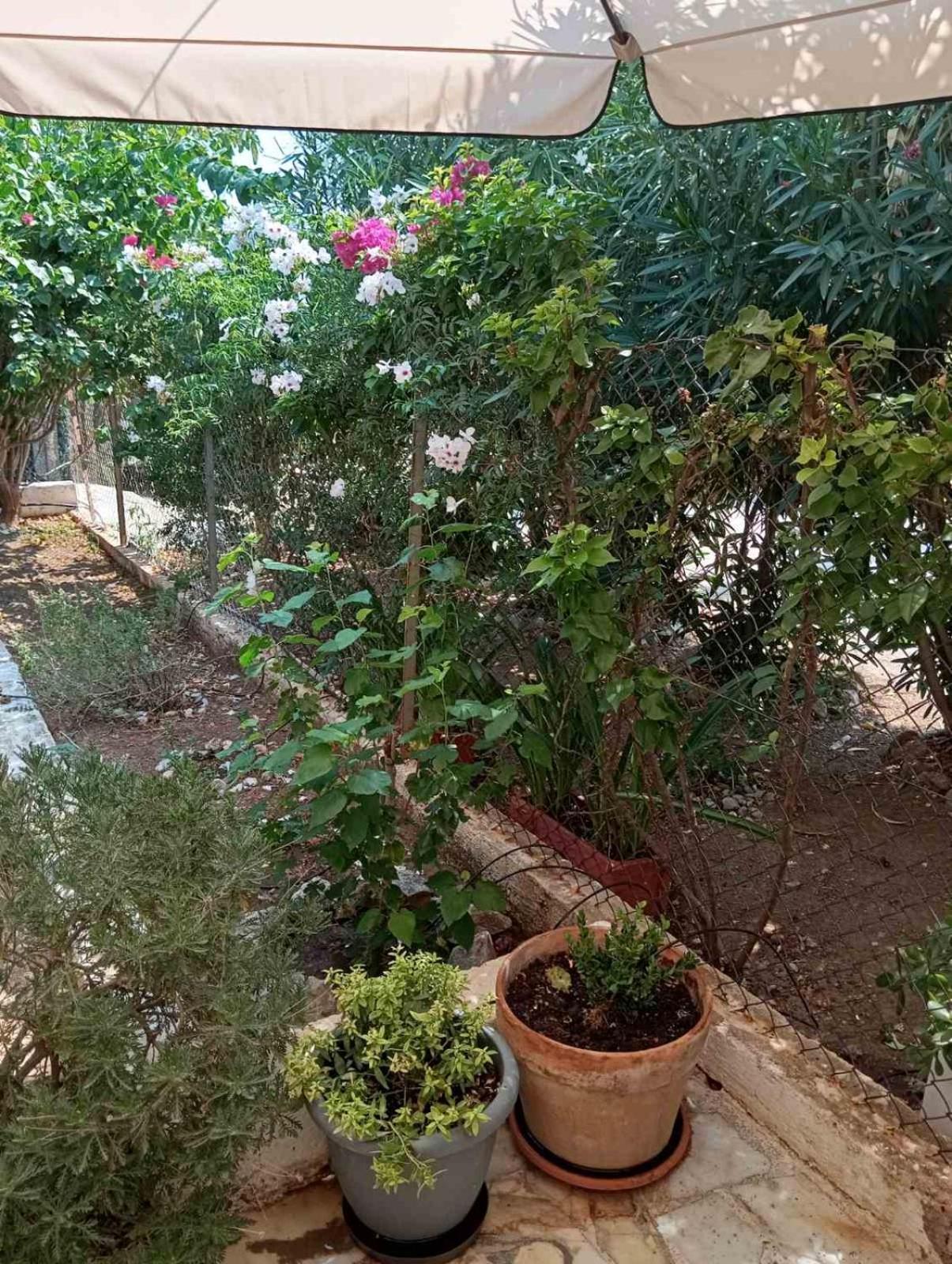 Εξοχικό Roxani Villa Ambelakia Dış mekan fotoğraf
